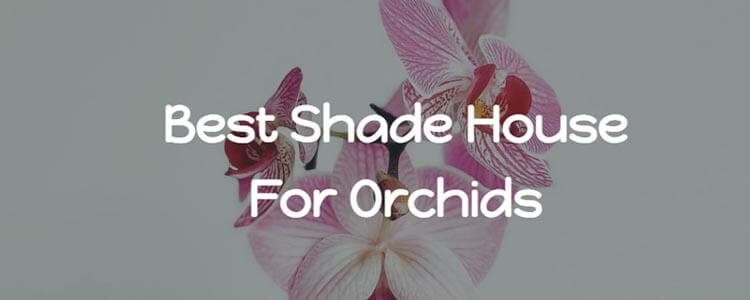 orchid shade house