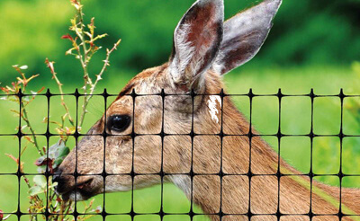 deer fence netting