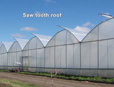 Saw tooth roof