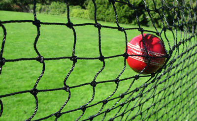 Ball stop netting