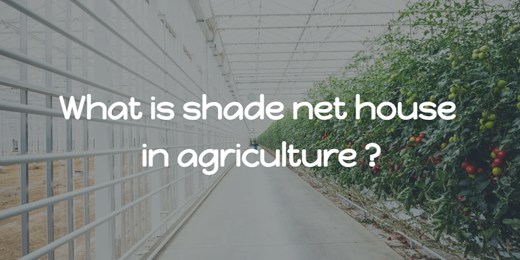 What Is Shade Net House