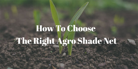 choose agro shade net